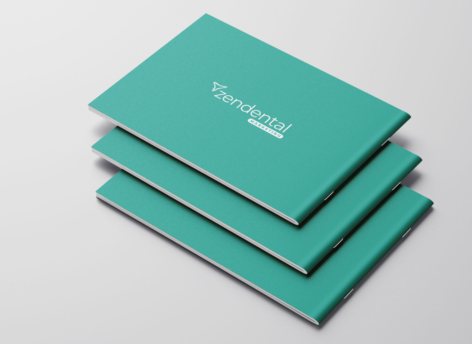 ZDM_Landscape_Brochure_Mockup_04