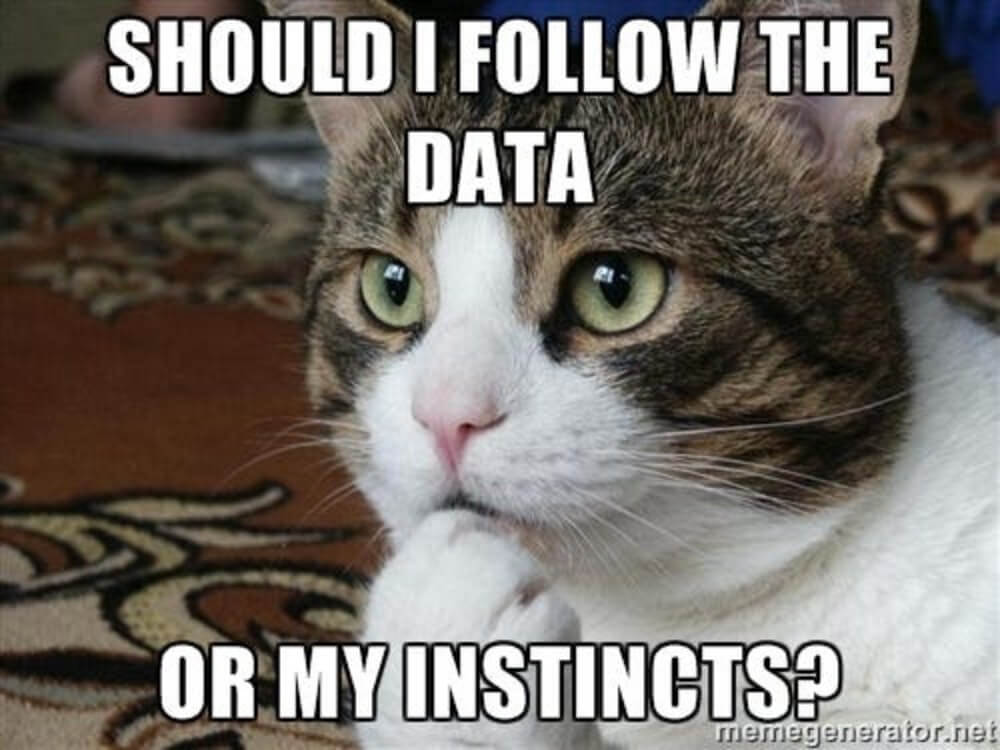 a cat meme with words about whether to follow data or instincts